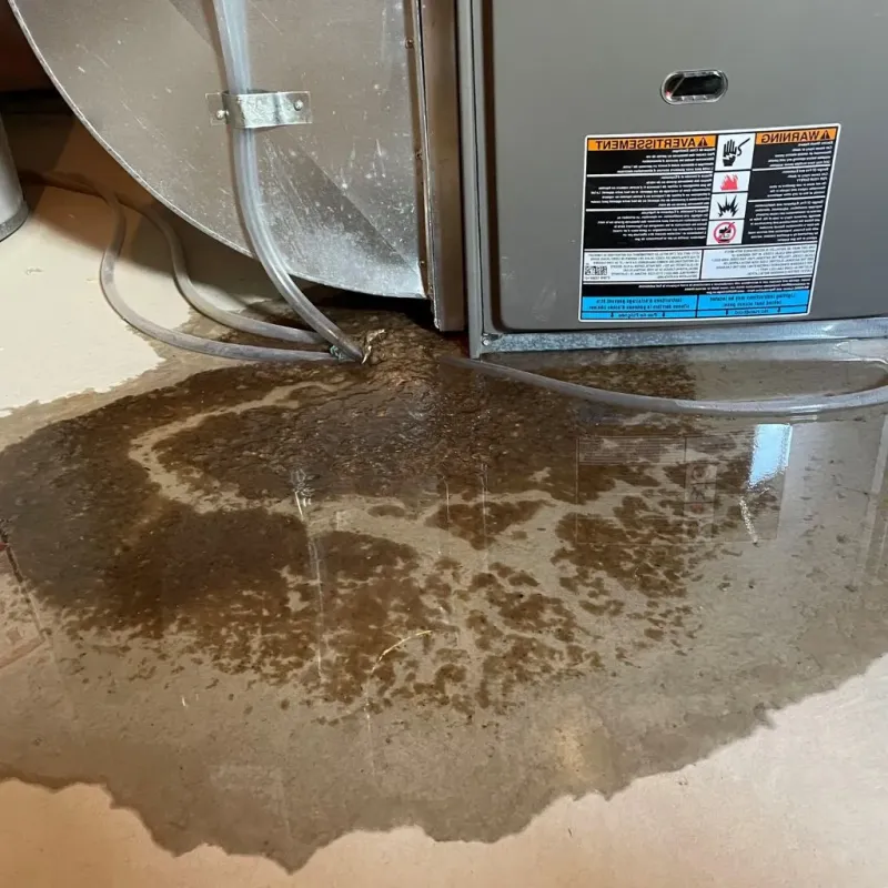 Pipe Burst and Leak Restoration in Jamestown, RI