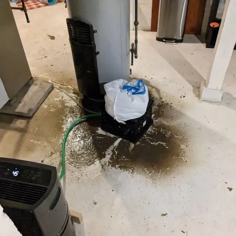 Sewage Backup Cleanup Service in Jamestown, RI